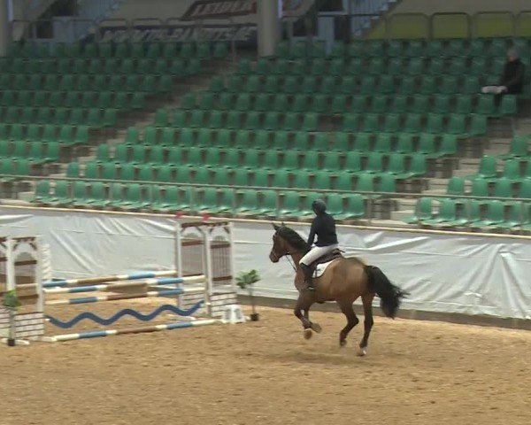 Reitturnier Kreuth/Opf. 2024
