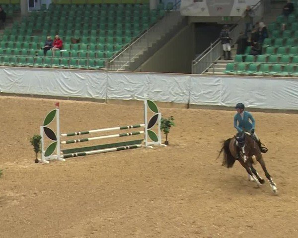 Reitturnier Kreuth/Opf. 2024