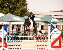 jumper Queen Con Quality CW (Oldenburg show jumper, 2020, from Cornet's Prinz)