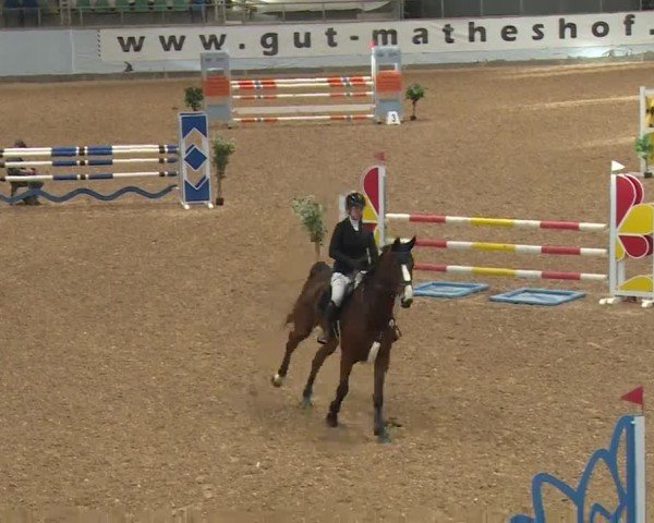 Reitturnier Kreuth/Opf. 2024