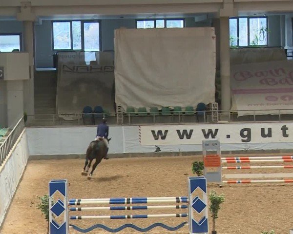 Reitturnier Kreuth/Opf. 2024