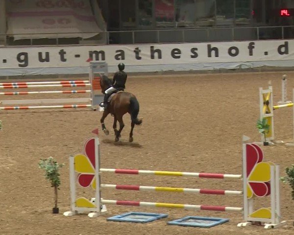 Reitturnier Kreuth/Opf. 2024