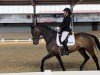 dressage horse D'Arcy Af (Westphalian, 2017, from D'Egalite)