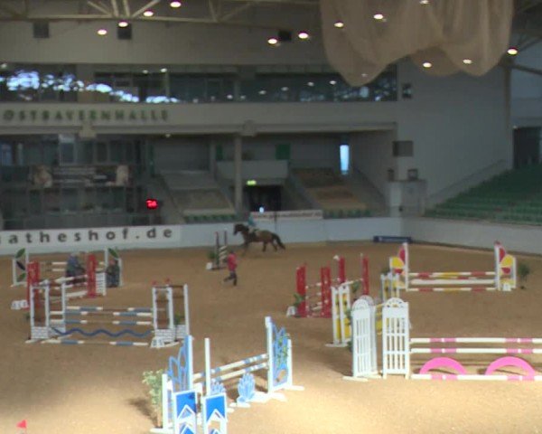 Reitturnier Kreuth/Opf. 2024