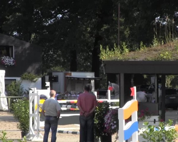 Datteln 2013