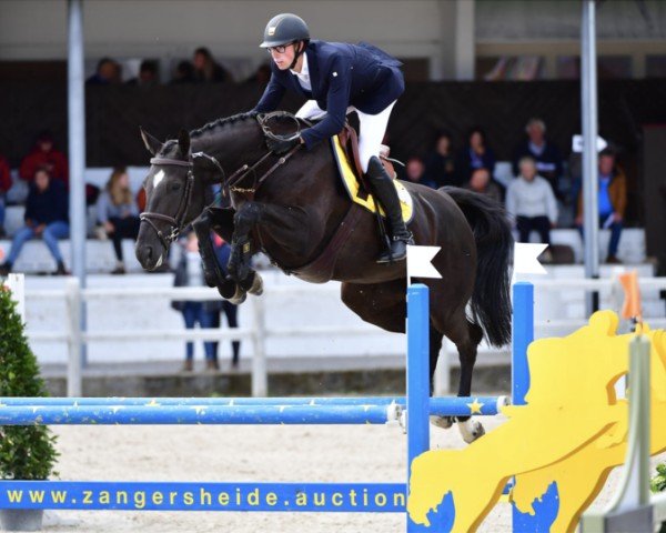 Springpferd H&M Qualithina van't Ruytershof (Belgisches Warmblut, 2016, von Mosito van het Hellehof)