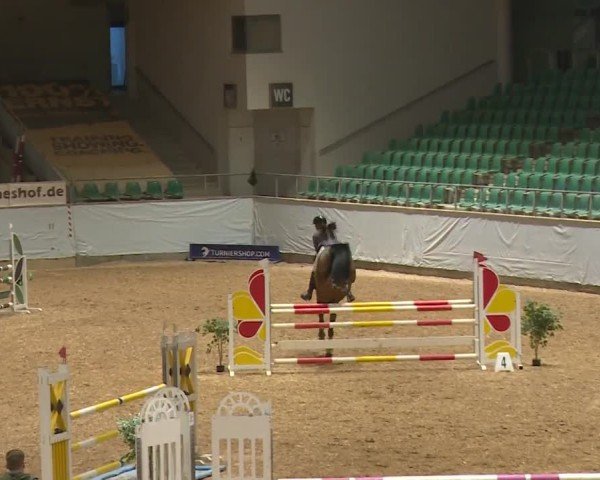 Reitturnier Kreuth/Opf. 2024