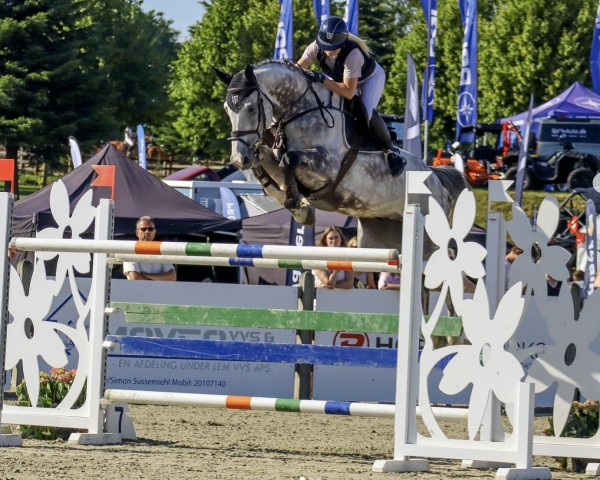 Springpferd Obahma JS (Belgisches Warmblut, 2014, von Caspar (Berlin))