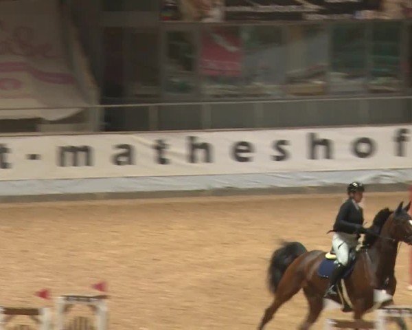 Reitturnier Kreuth/Opf. 2024