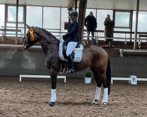 horse Zeppelin's Ballerina (Oldenburg, 2018, from Fürstenball)