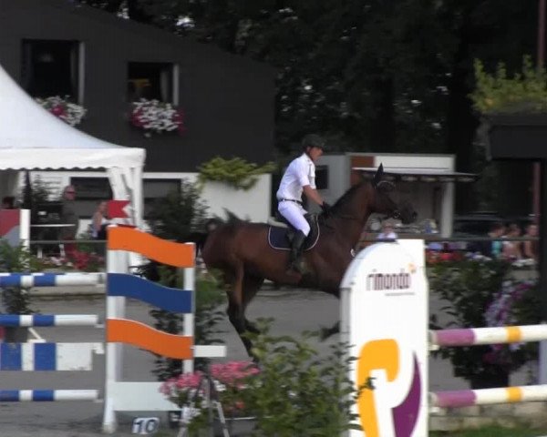 Datteln 2013