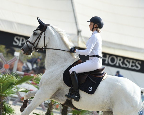 jumper Jolly Karla V (KWPN (Royal Dutch Sporthorse), 2014, from Zirocco Blue)
