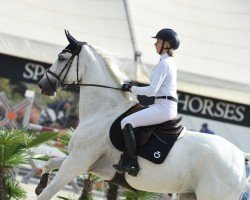 jumper Jolly Karla V (KWPN (Royal Dutch Sporthorse), 2014, from Zirocco Blue)