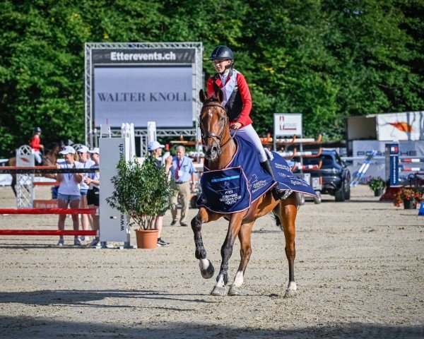 Springpferd Apriori D'Yvmane (Selle Français, 2010, von Lavillon)