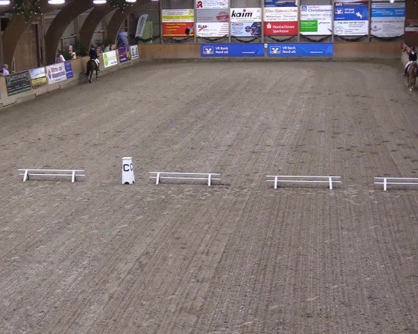 Reitturnier Leck 2024