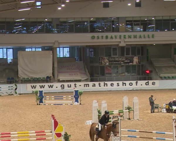 Reitturnier Kreuth/Opf. 2024
