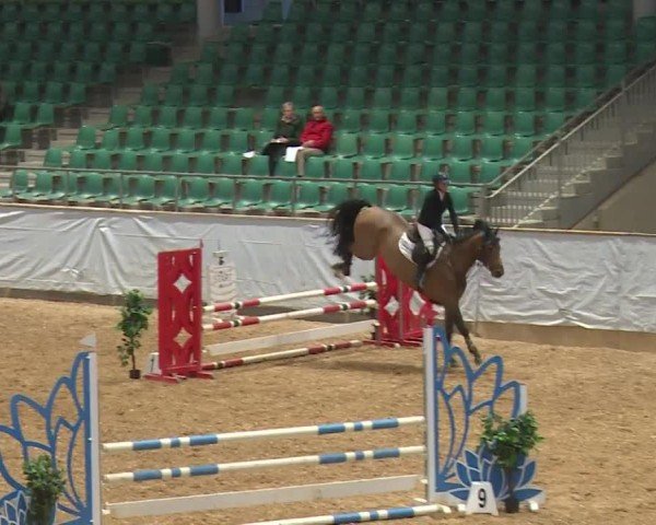 Reitturnier Kreuth/Opf. 2024