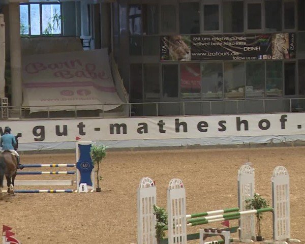Reitturnier Kreuth/Opf. 2024
