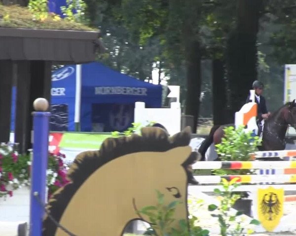 Datteln 2013