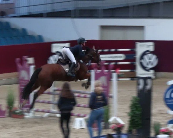 Reitturnier Neustadt/Dosse - Graf von Lindenau-Halle 2024