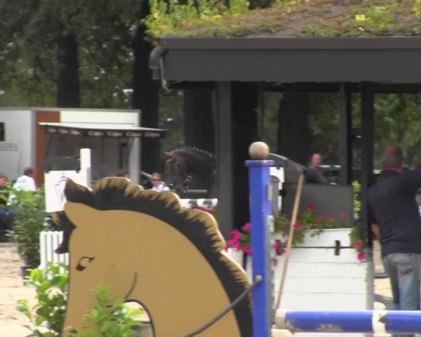 Datteln 2013