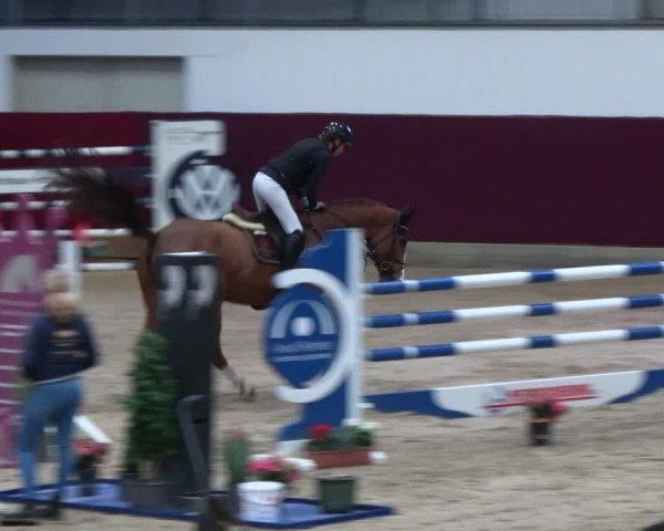 Reitturnier Neustadt/Dosse - Graf von Lindenau-Halle 2024