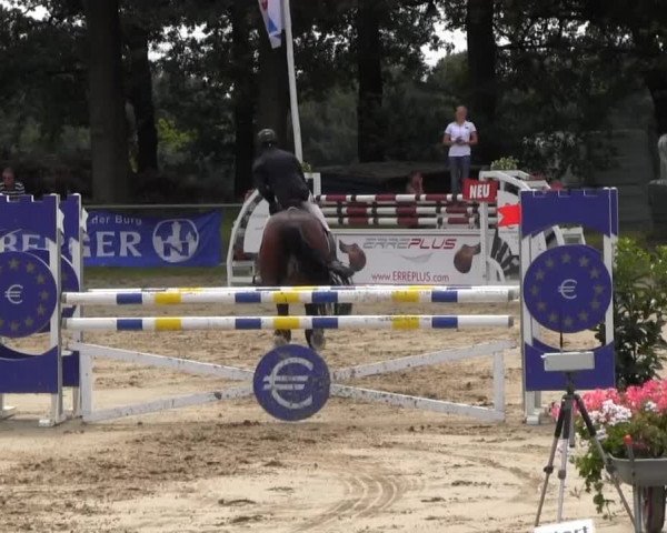 Datteln 2013