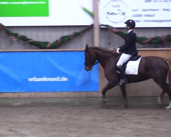 Reitturnier Leck 2024