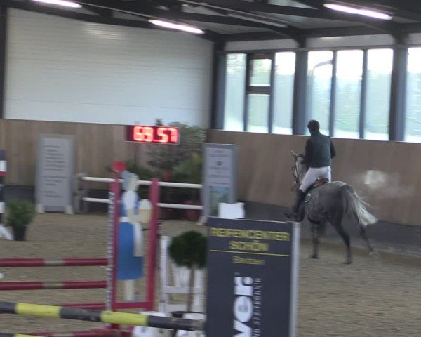 Reitturnier Zwickau 2024