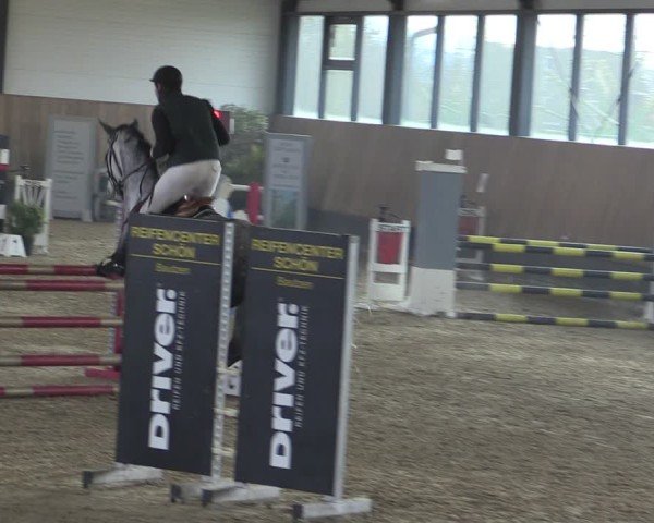 Reitturnier Zwickau 2024