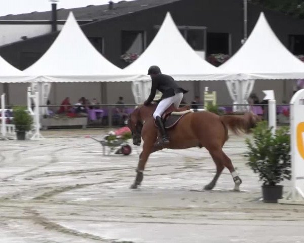 Datteln 2013