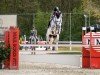 jumper Mokka van het Haringvliet (anglo european sporthorse, 2017, from Monte Bellini)