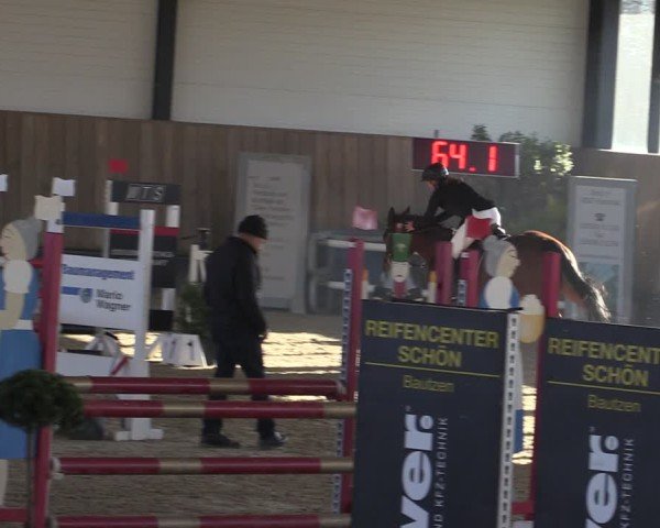 Reitturnier Zwickau 2024