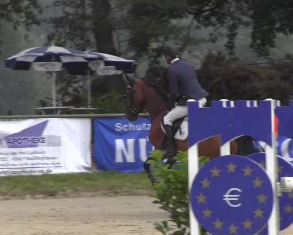 Datteln 2013