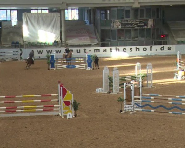 Reitturnier Kreuth/Opf. 2024