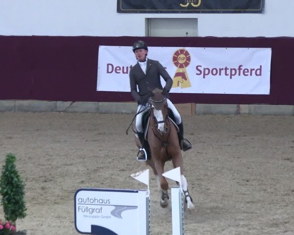 Reitturnier Neustadt/Dosse - Graf von Lindenau-Halle 2024