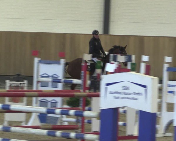 Reitturnier Zwickau 2024