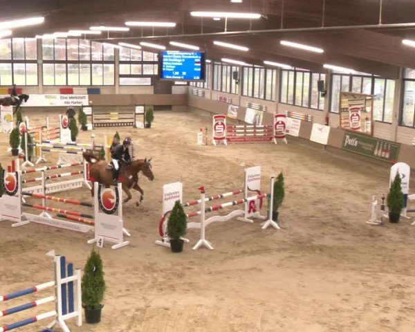 Reitturnier Oelde 2024