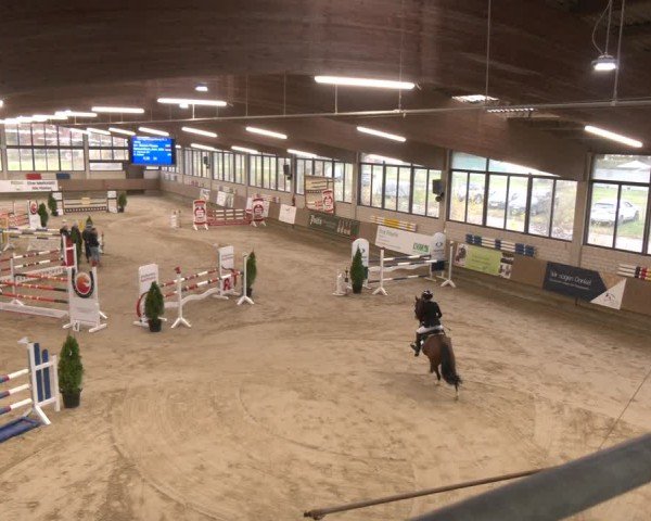 Reitturnier Oelde 2024