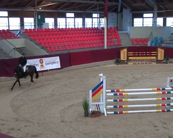Reitturnier Neustadt/Dosse - Graf von Lindenau-Halle 2024