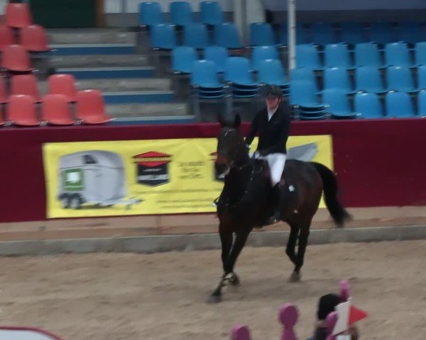 Reitturnier Neustadt/Dosse - Graf von Lindenau-Halle 2024