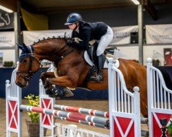 jumper Qui Lou 2 (German Sport Horse, 2018, from Qui Lago)