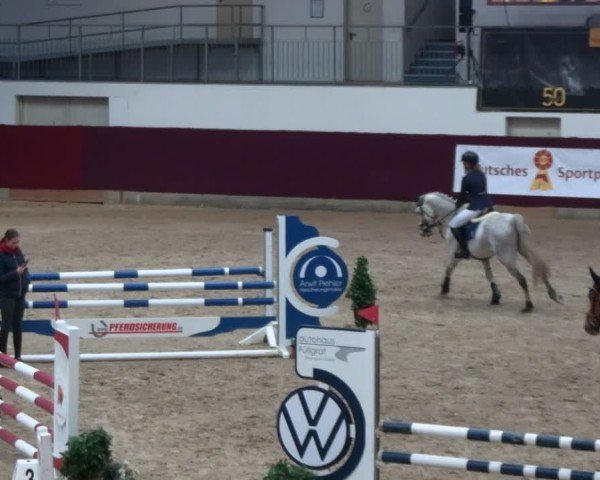 Reitturnier Neustadt/Dosse - Graf von Lindenau-Halle 2024