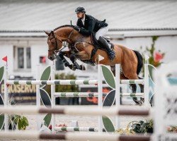 jumper Empire (KWPN (Royal Dutch Sporthorse), 2009, from Quidam de Revel)