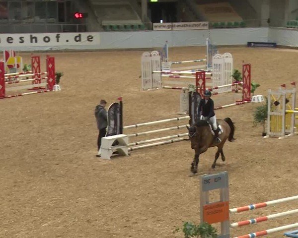Reitturnier Kreuth/Opf. 2024
