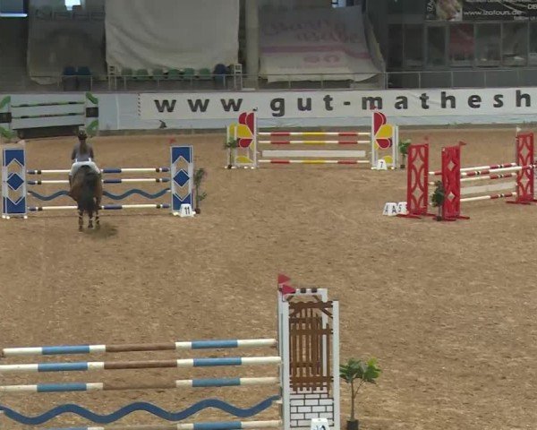 Reitturnier Kreuth/Opf. 2024