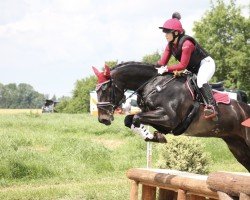 jumper Stakkato's Socke (Hanoverian, 2018, from Stakkato)