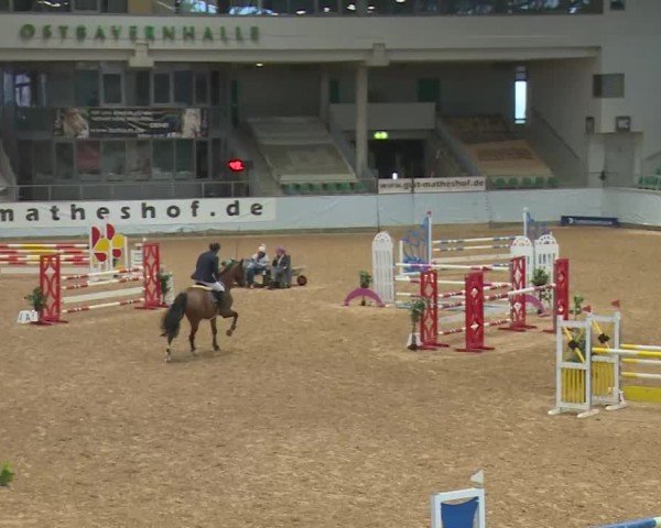 Reitturnier Kreuth/Opf. 2024
