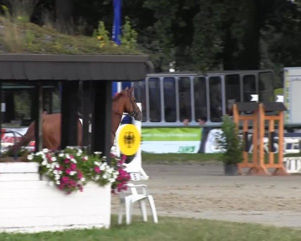 Datteln 2013
