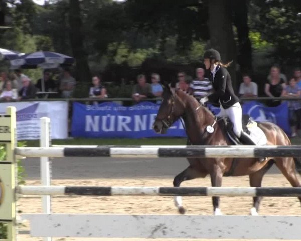 Datteln 2013